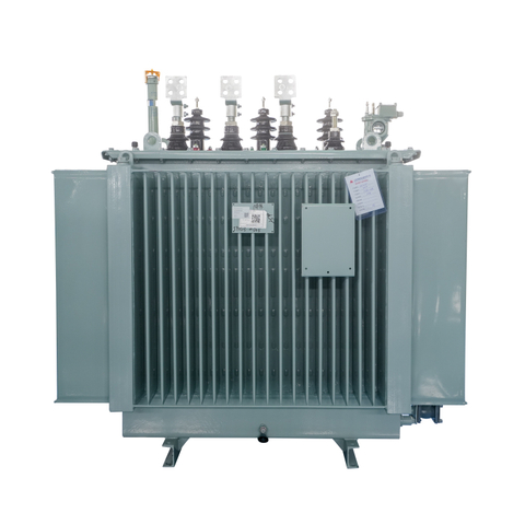 1000kVA 13.8kV/231V Amorphous Alloy Three-Phase Distribution Transformer